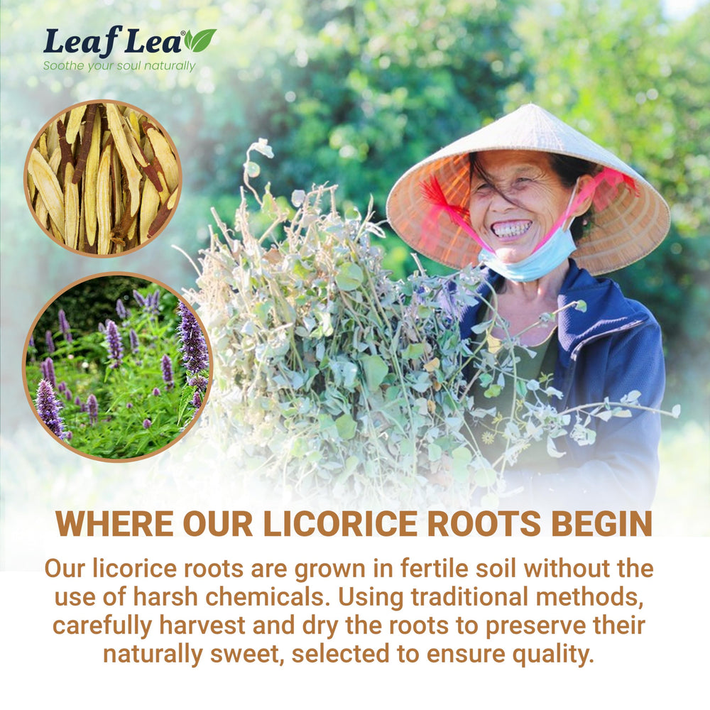 LeafLea packaging highlights caffeine-free and sugar-free benefits for all-day sipping.