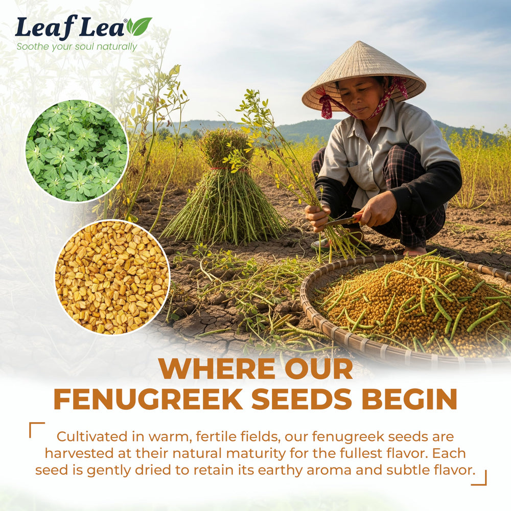 LeafLea tea bag steeping in hot water releases warm notes.