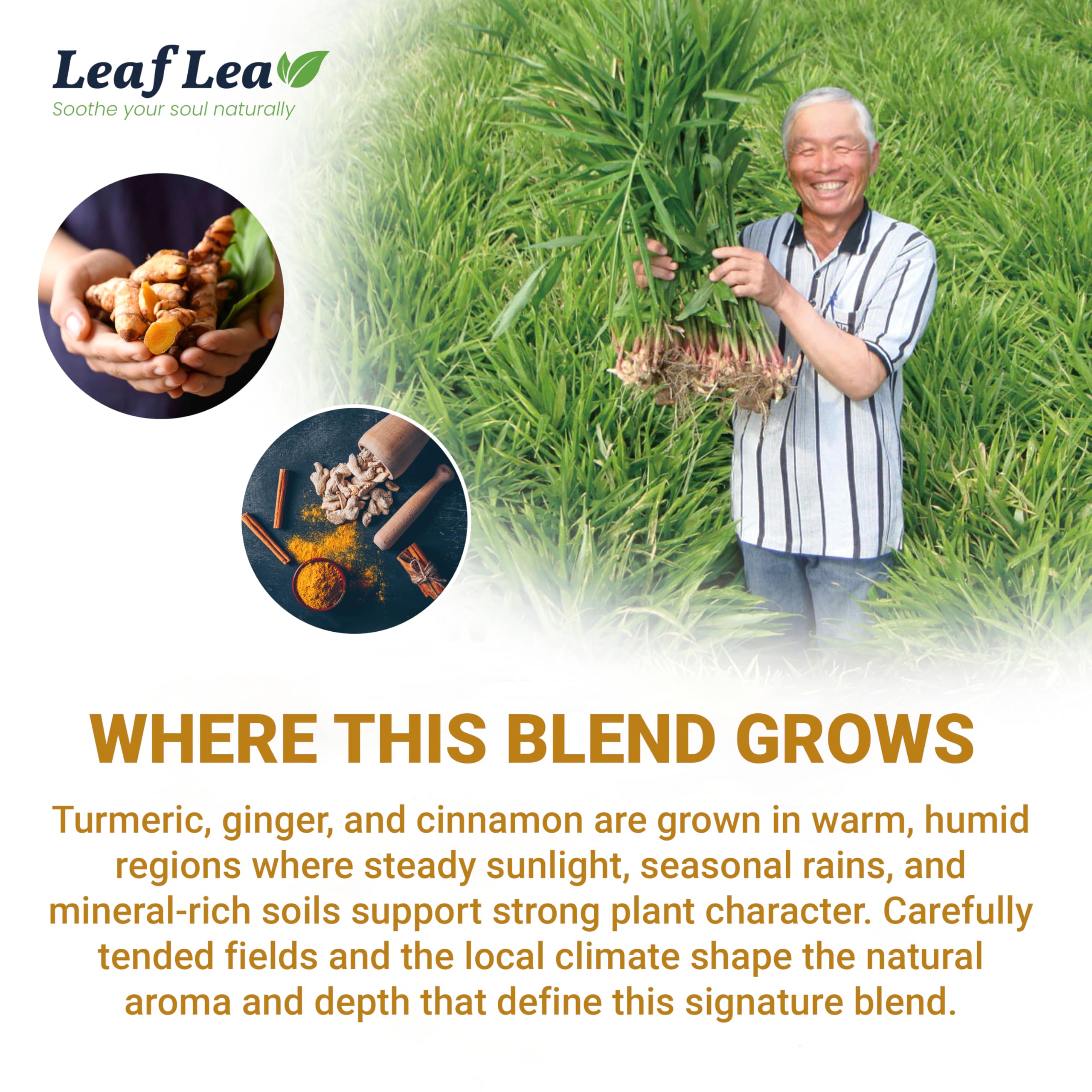LeafLea travel-friendly tea box keeps flavor and aroma intact.