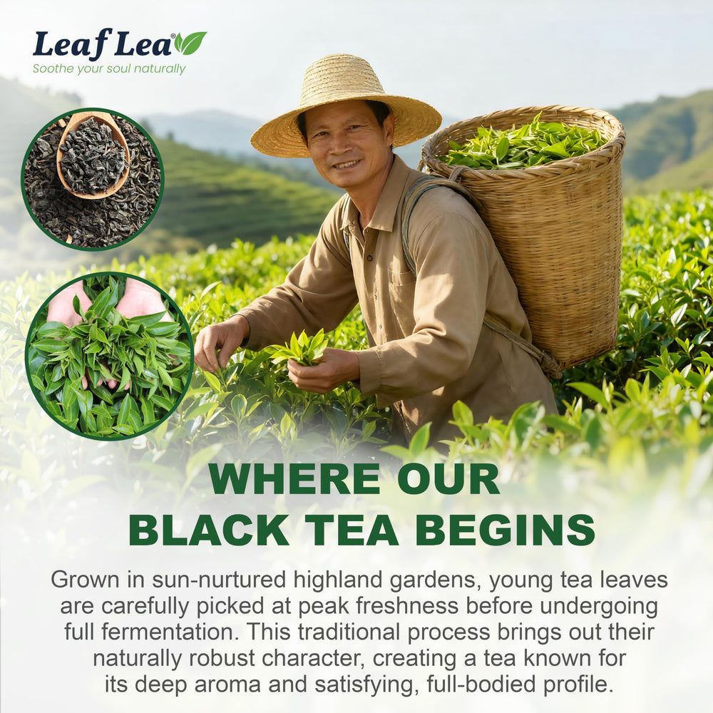 LeafLea travel-friendly tea bags accompany a compact mug.