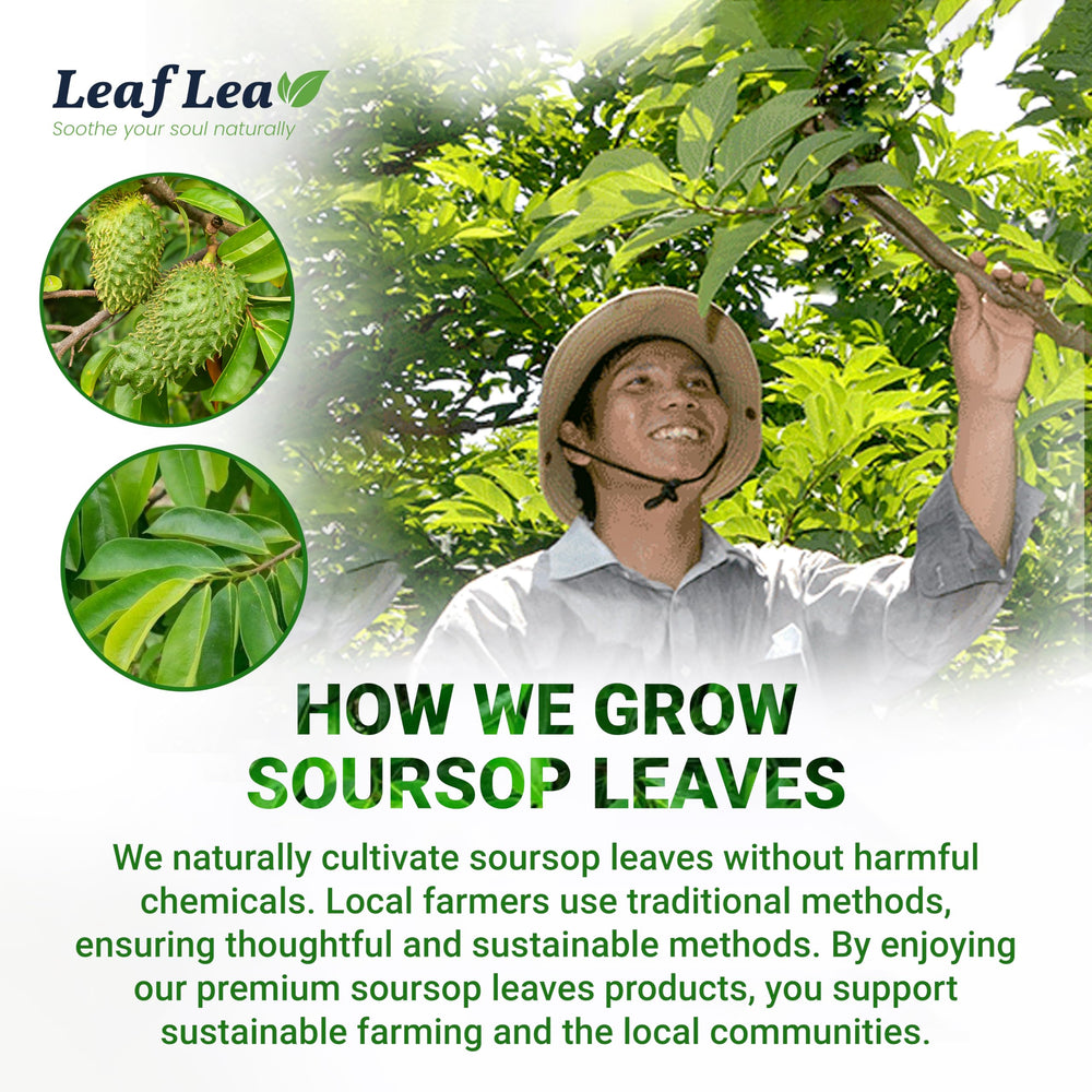 LeafLea Soursop tea is vegan and sugar-free, a light option.