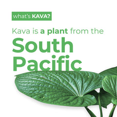 Leilo Kava Blackberry Orange can with vibrant aroma for crisp refreshment.