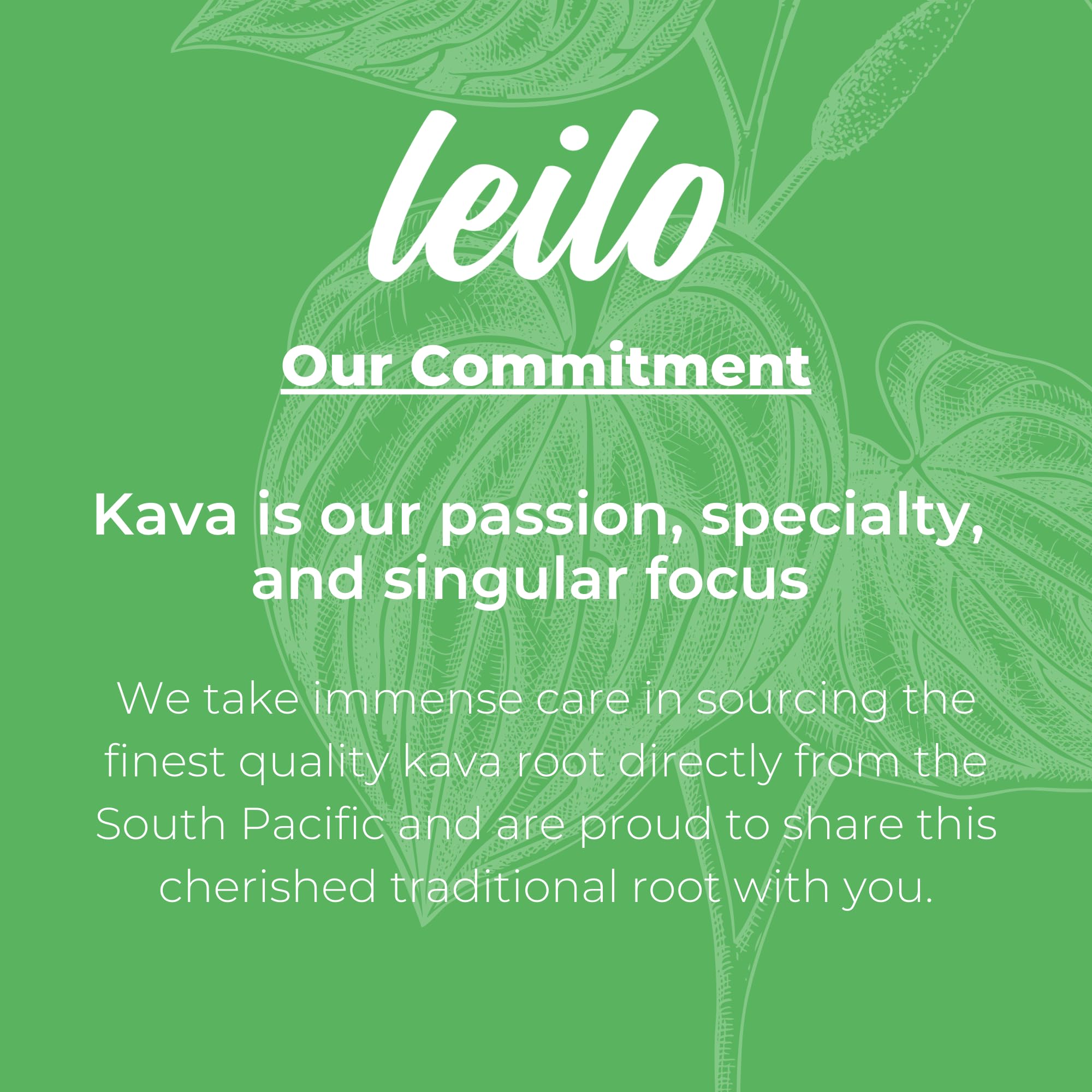 LEILO kava root South Pacific image highlights plant-based relaxation