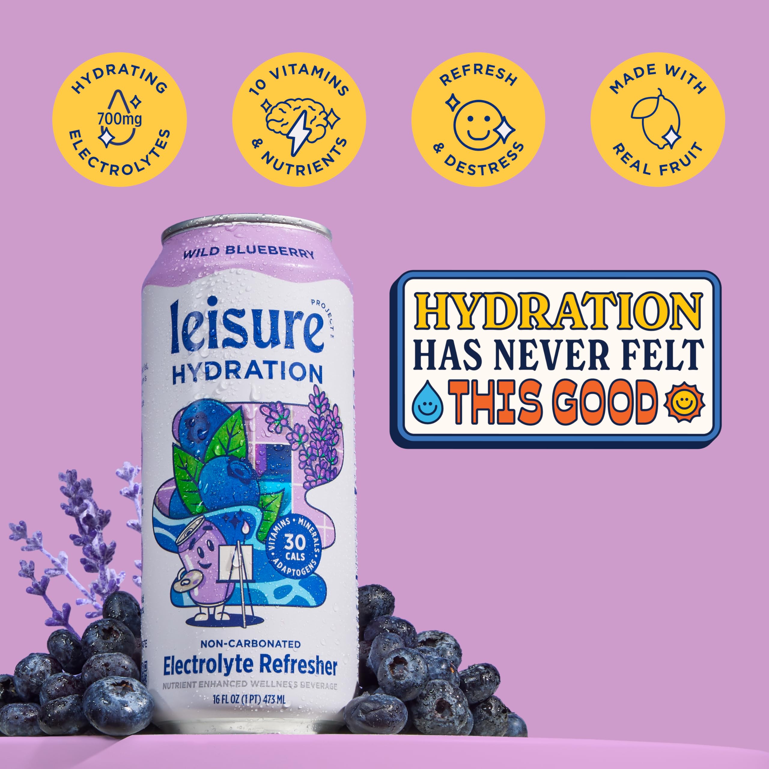 Leisure Hydration Wild Blueberry nutrition facts reveals electrolyte boost.
