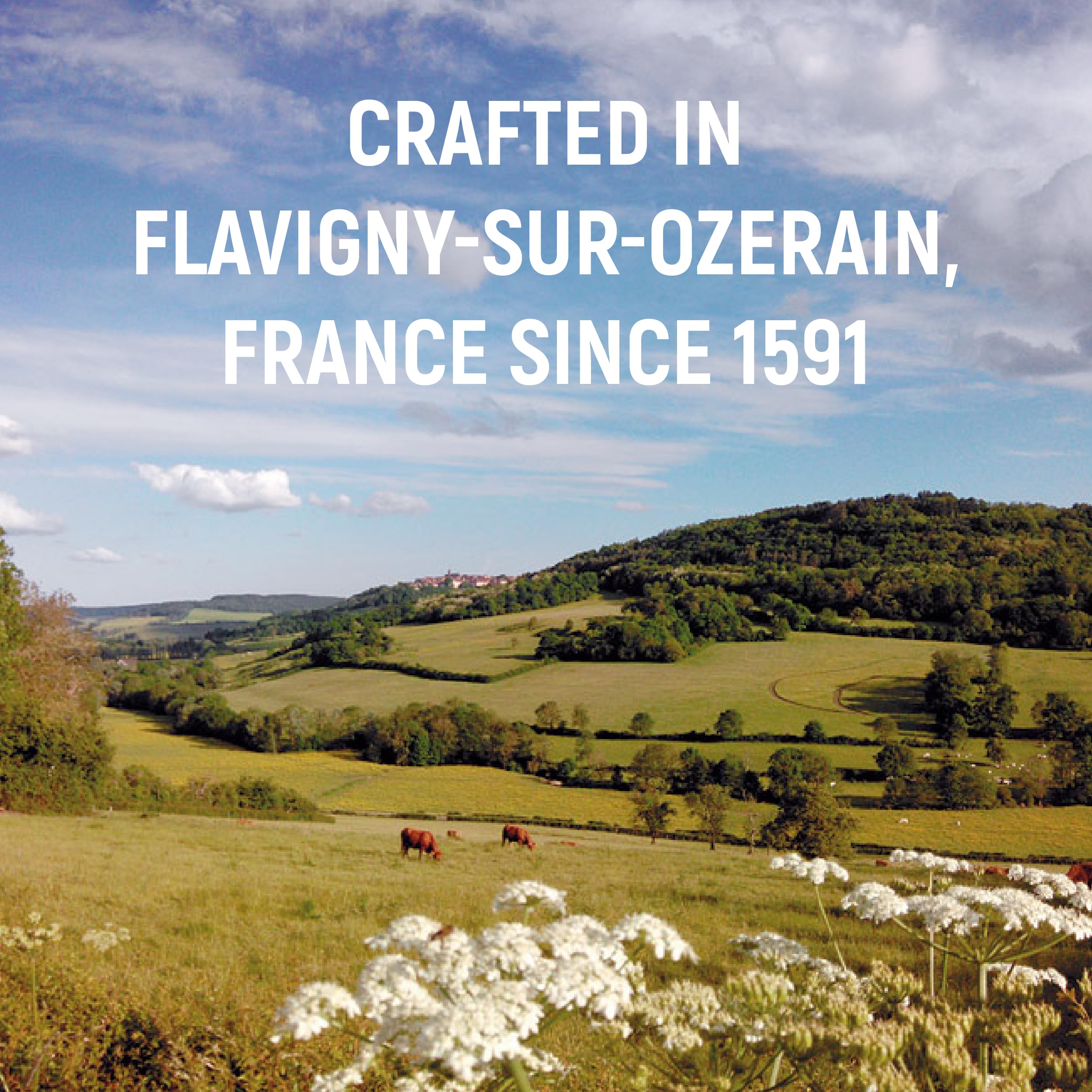 Les Anis de Flavigny made-in-france candy supports artisanal family craftsmanship.