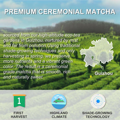 LetStay Fine-ground matcha shows vibrant green color ideal for whisking.