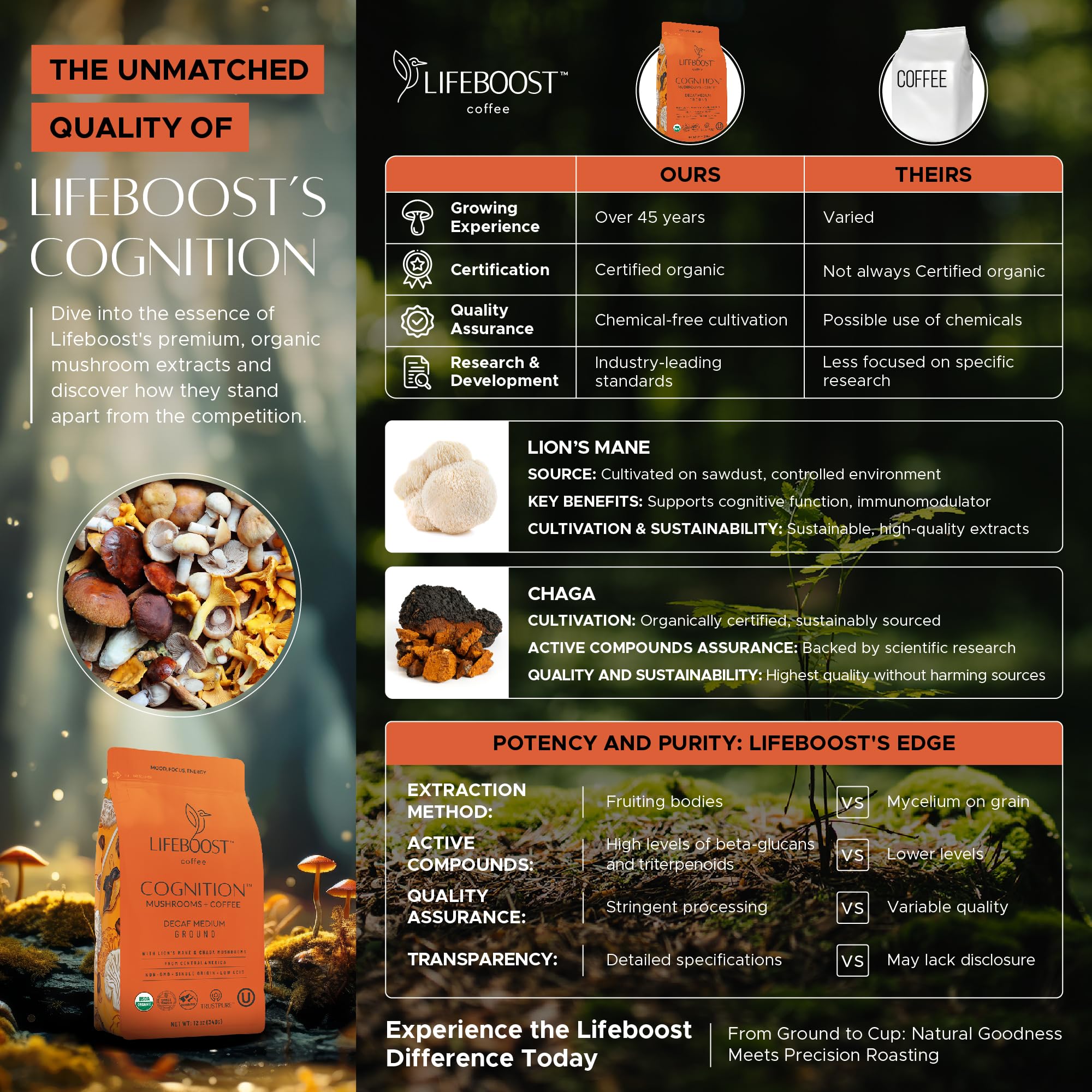 Lifeboost Cognition Chaga close-up suggests immune-supporting adaptogens in a smooth cup