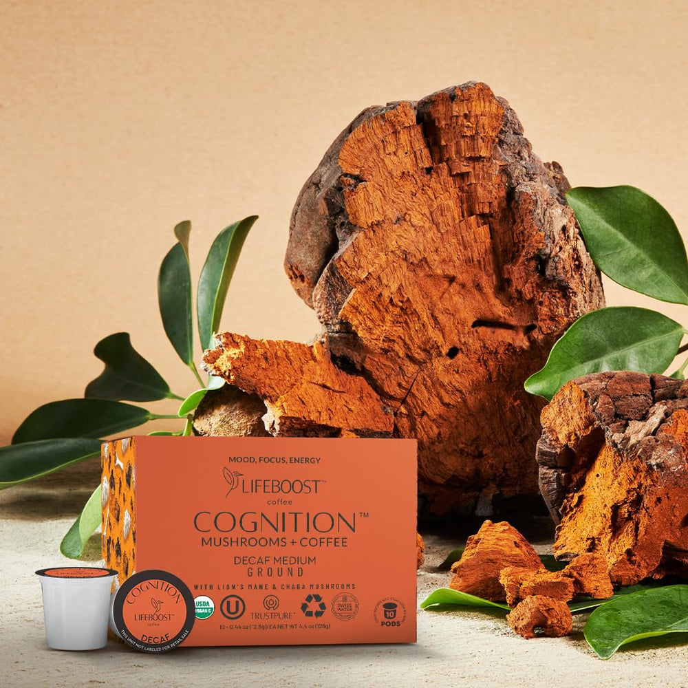 Lifeboost Cognition Chaga mushroom illustration emphasizing antioxidant immune support.