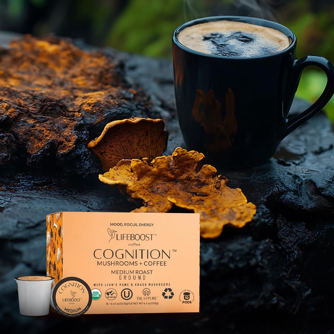 Chaga imagery on LIFEBOOST Cognition packaging hints at immune-support potential.