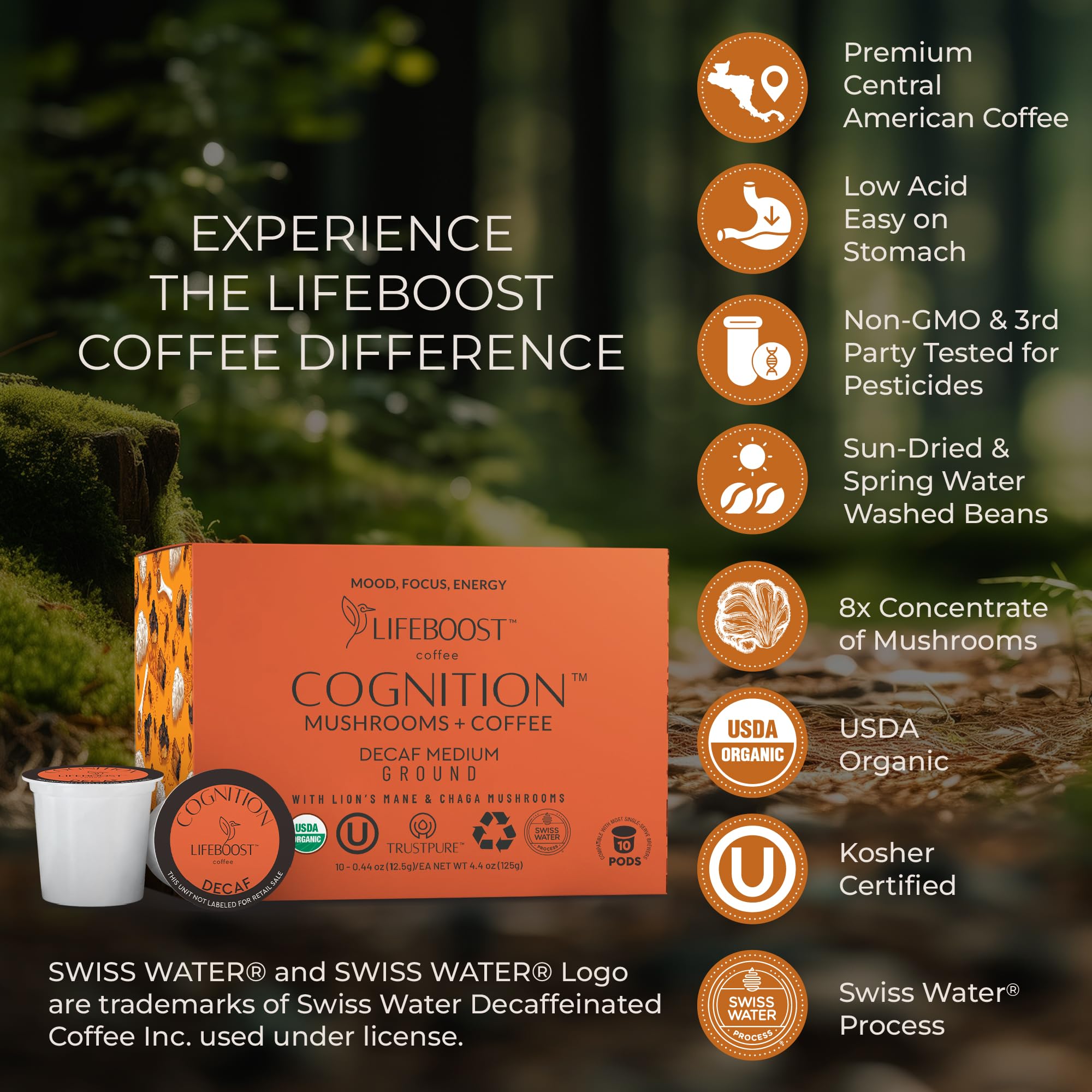 Lifeboost Cognition low-acid coffee cup showing smooth digestion-friendly taste.