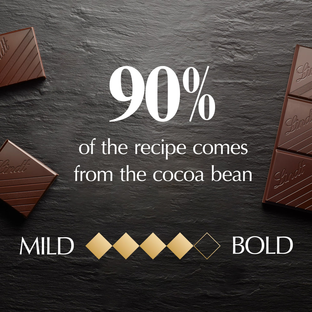 Lindt Excellence 90% cacao bar with knife and bar segments for easy portioning