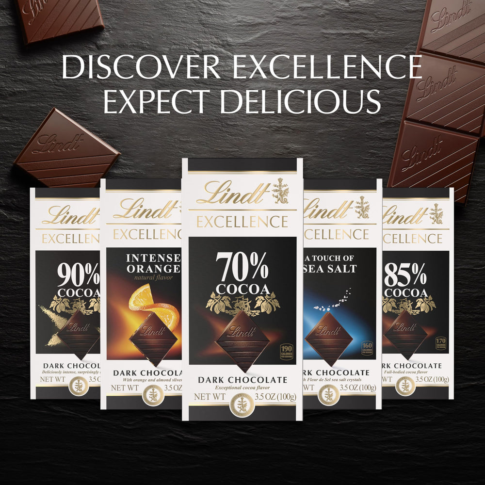 Lindt EXCELLENCE 95% bar master chocolatiers logo closeup communicates craftsmanship.