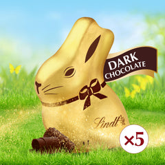 Lindt GOLD BUNNY mini hollow bunnies on display for celebration.