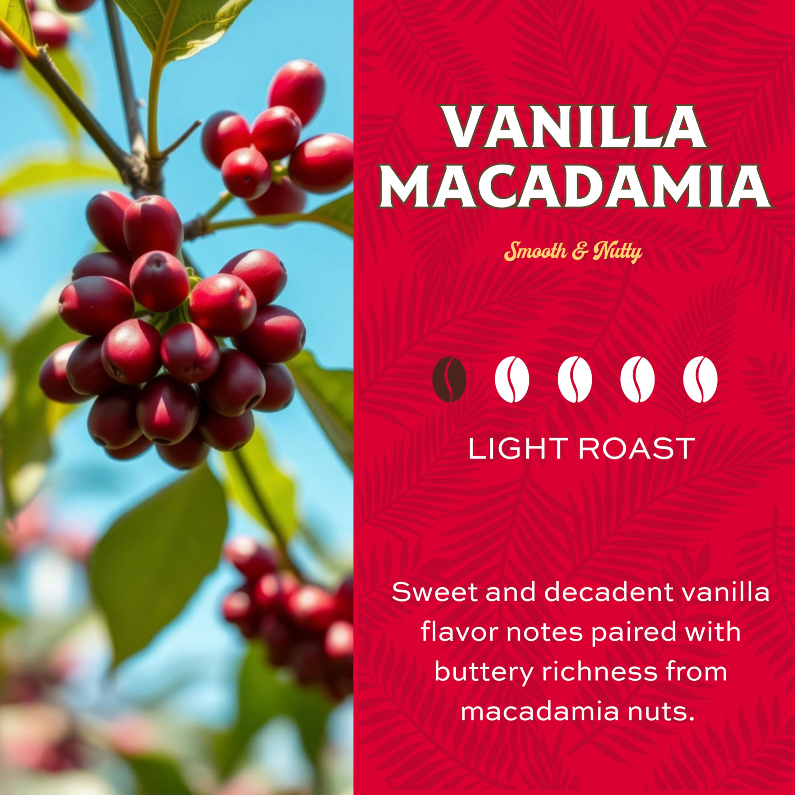 Lion Coffee light roast highlighting Hawaiian-inspired flavor and bright aroma.