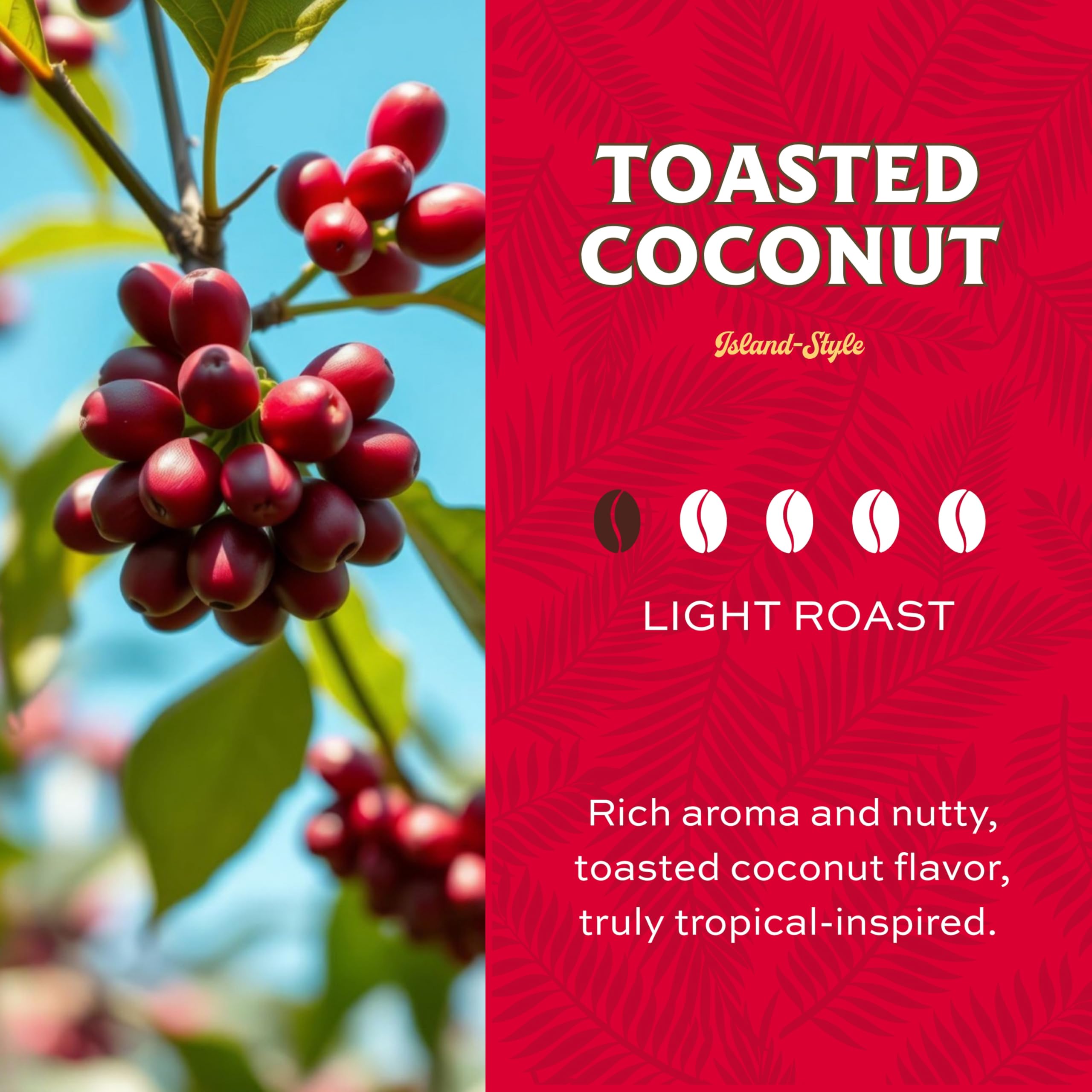 Lion Coffee toasted coconut beans close-up highlights light roast aroma for mornings.