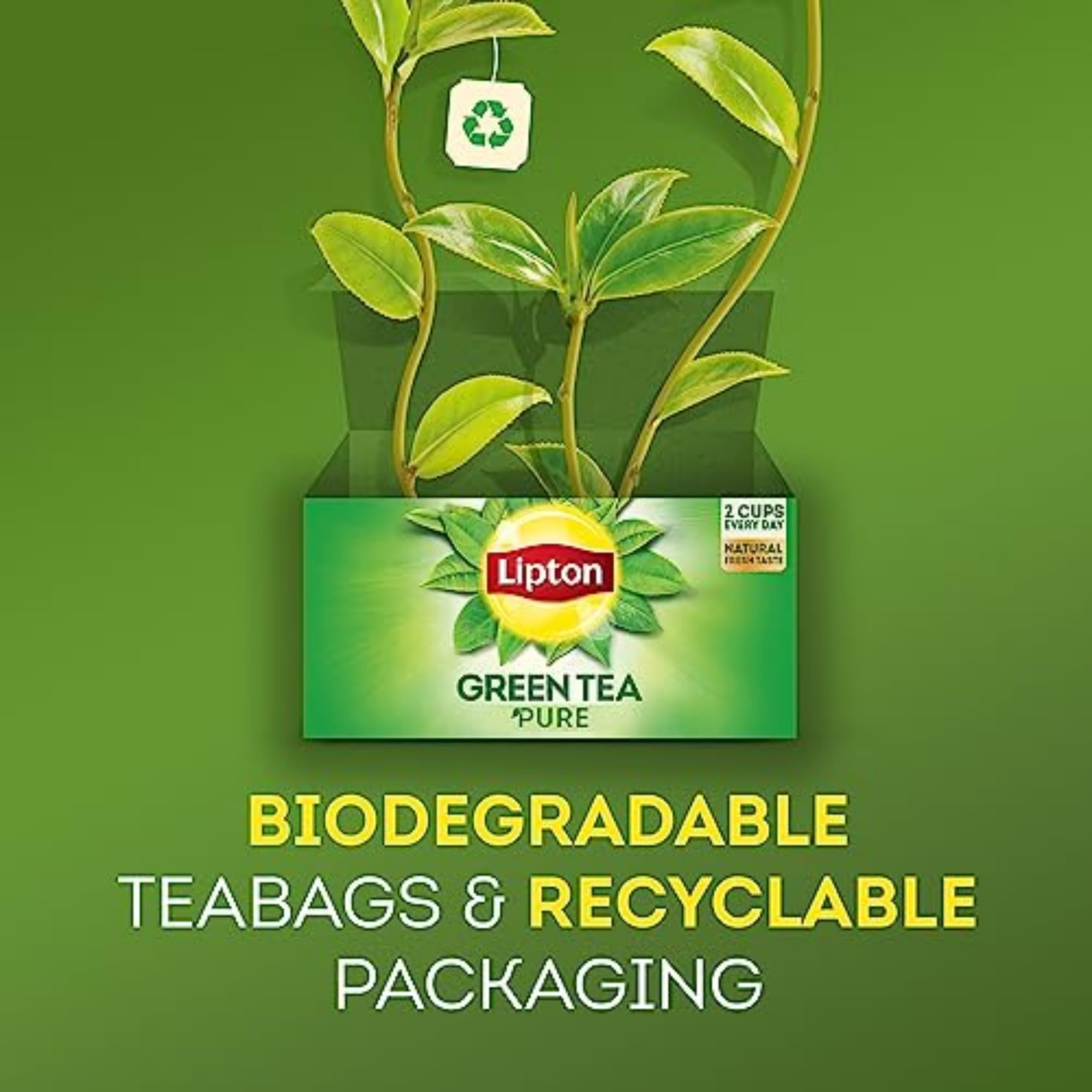 Lipton Decaf Green Tea Bags ready to brew with daily ritual appeal