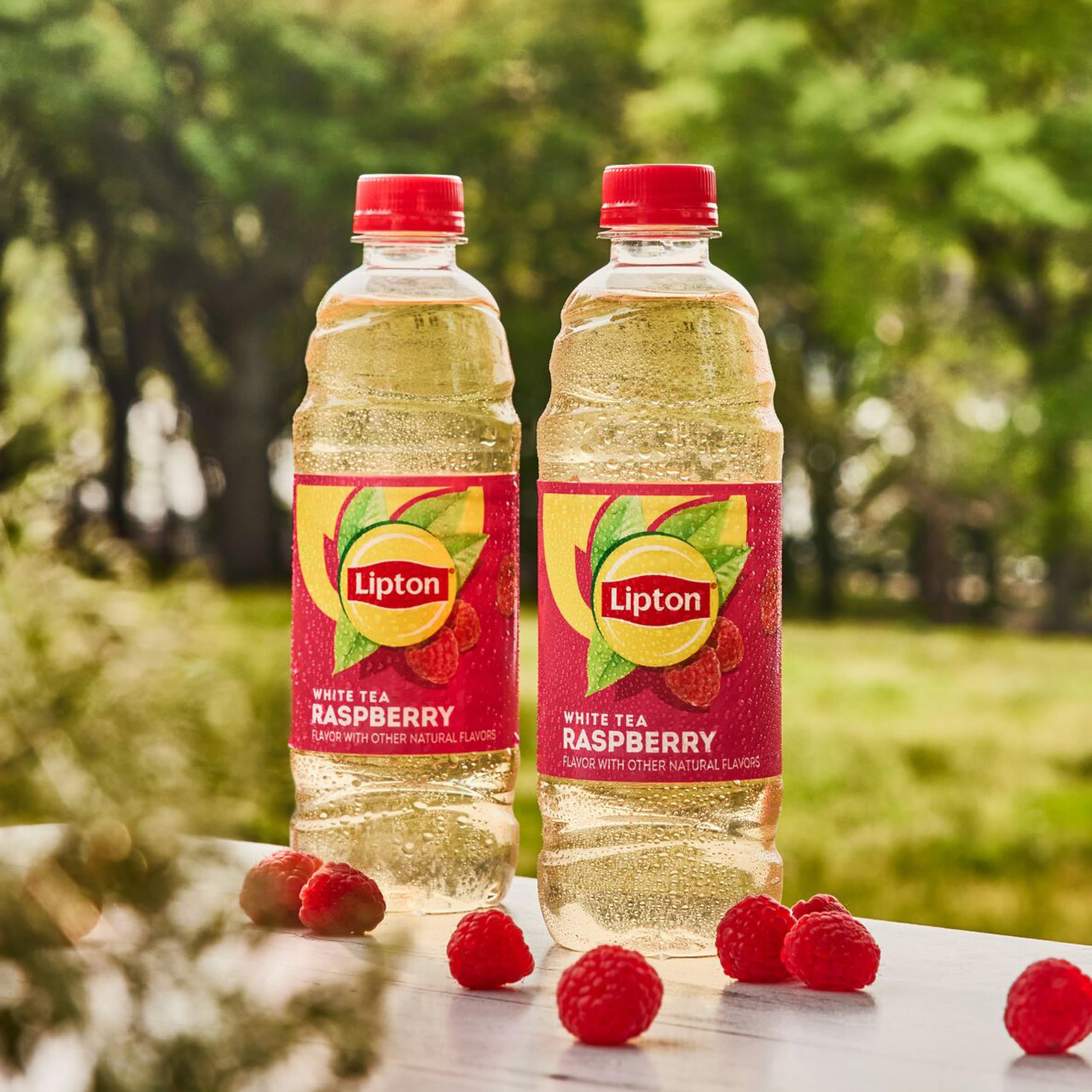 Pack of Lipton Raspberry White Tea bottles in a 12-pack.