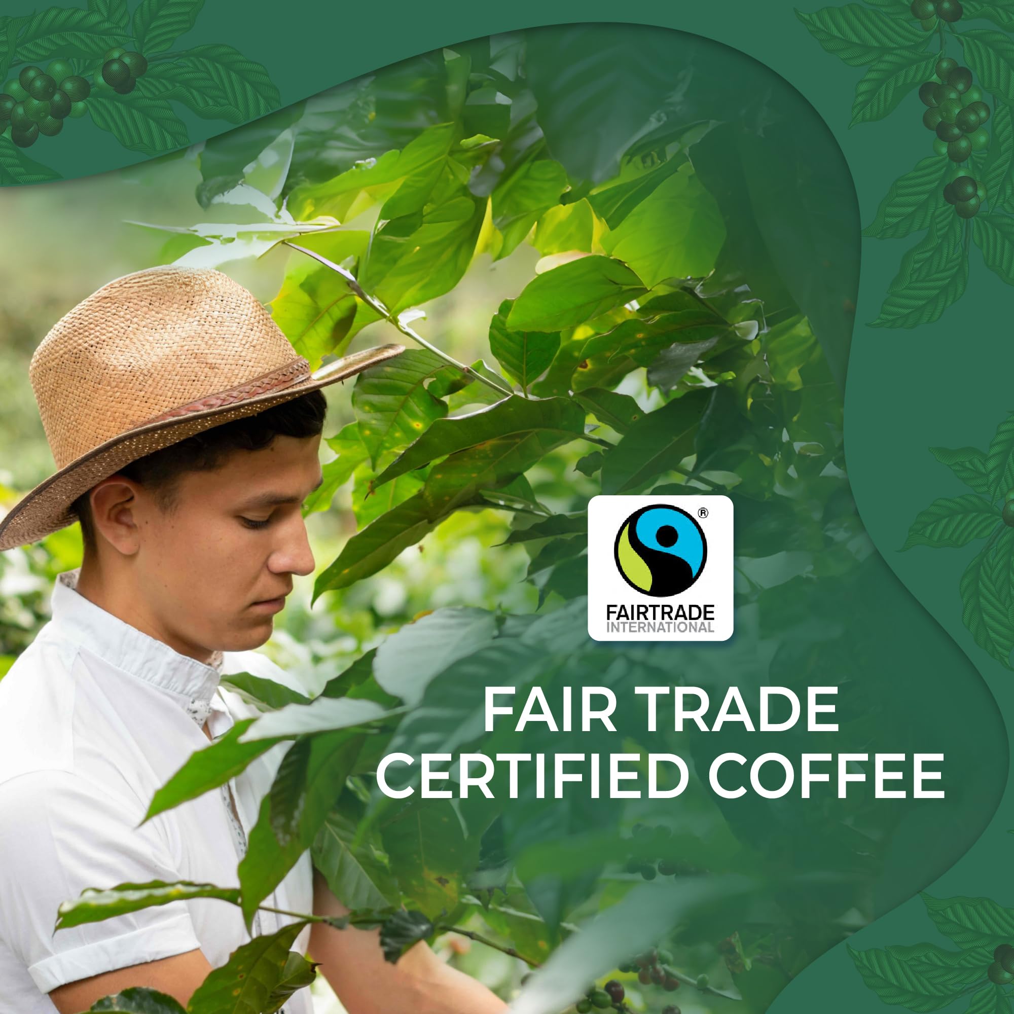 Liquid Gold Coffee SBH beans indicating high-altitude density