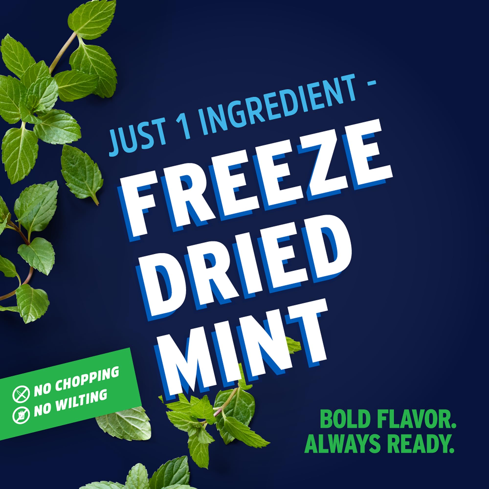 Litehouse Freeze Dried Mint jar close-up highlighting freshness and aroma, convenient for recipes.