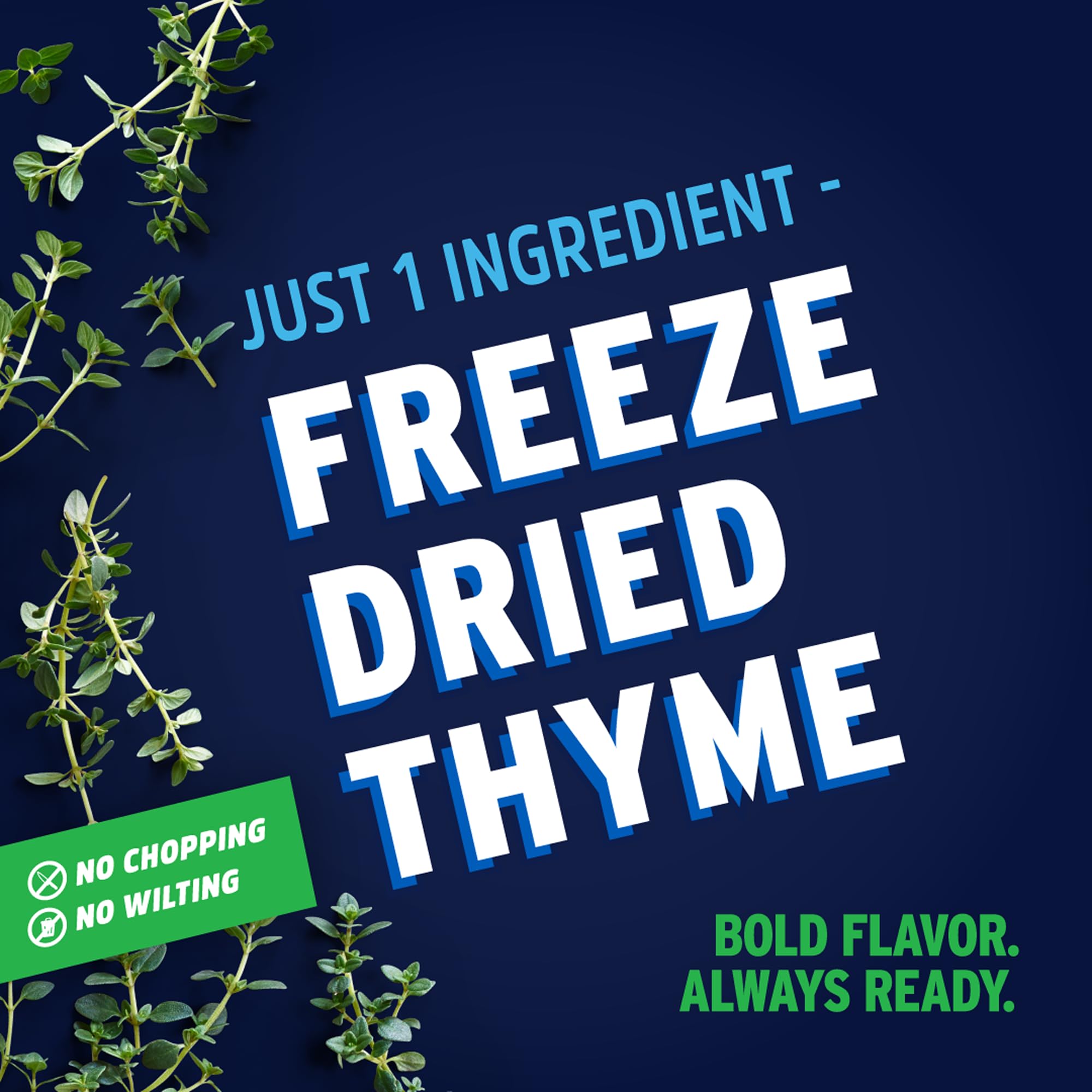 Litehouse Freeze Dried Thyme jar label highlights quality and versatile seasoning.