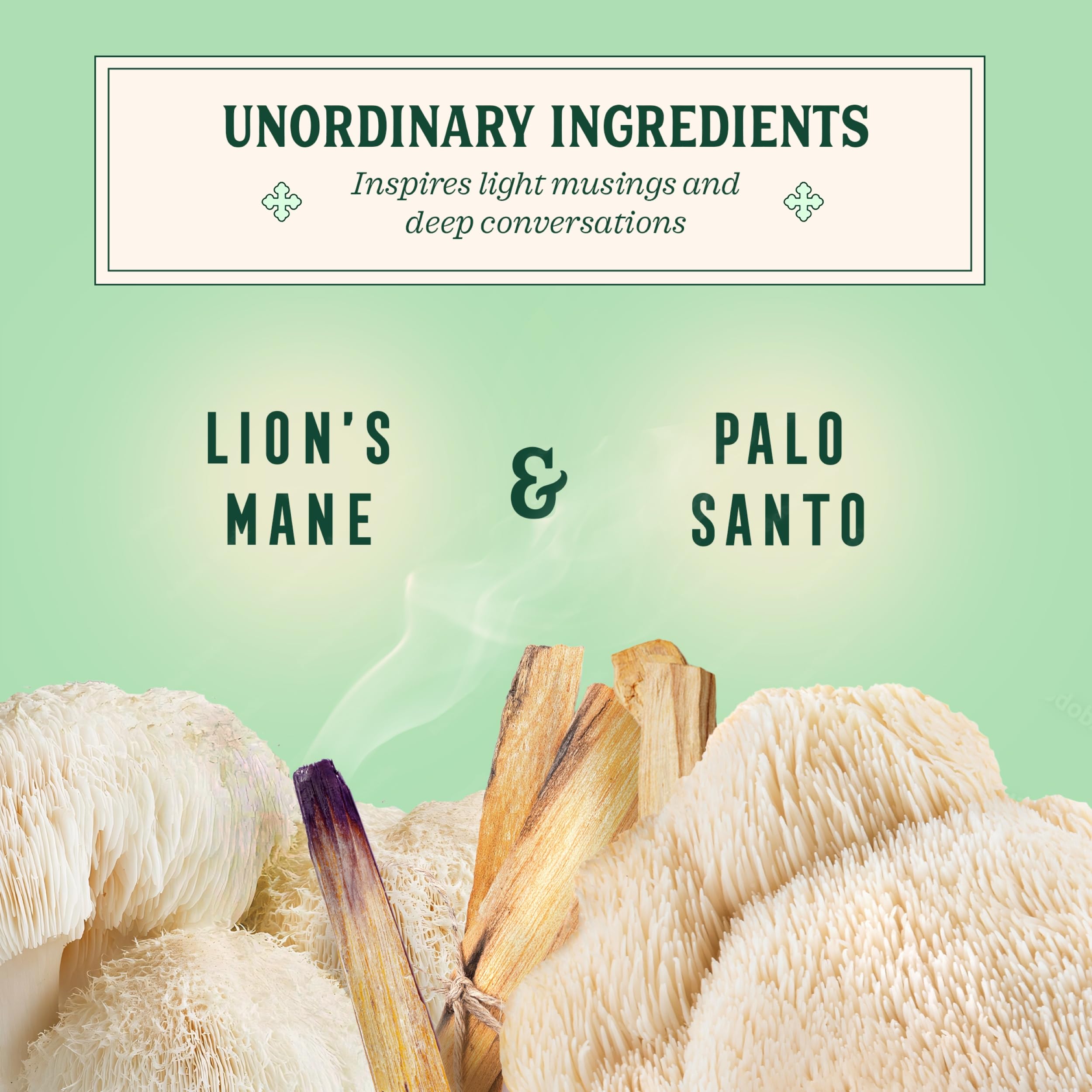 Little Saints St. Ember lion's mane extract adds distinctive depth.