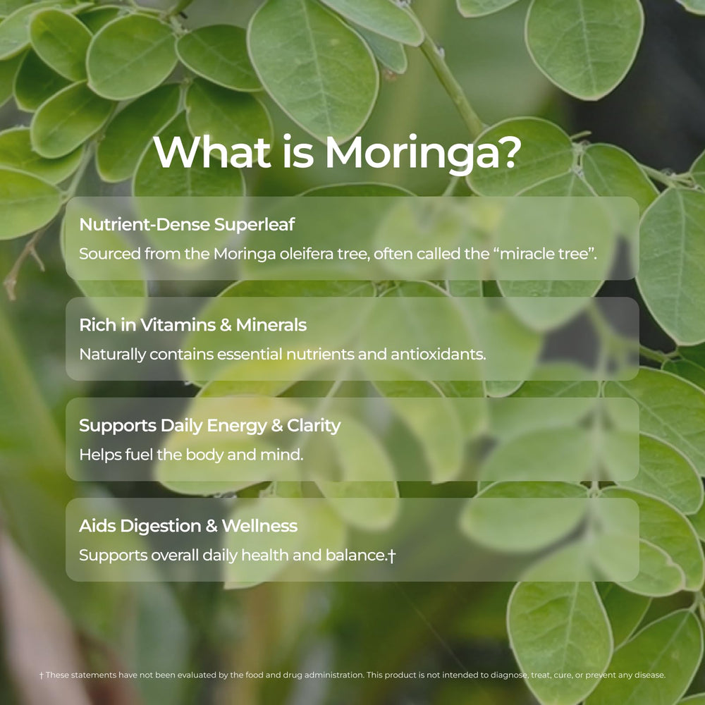 Livingood Daily Coffee with Moringa ground coffee drum, ready for versatile brewing.