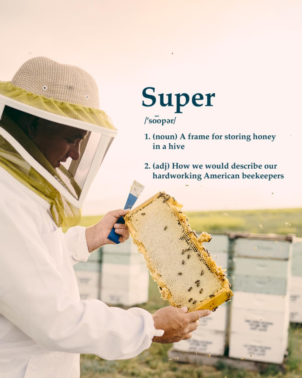 Local Hive Washington tea drops sweeten hot tea with natural depth