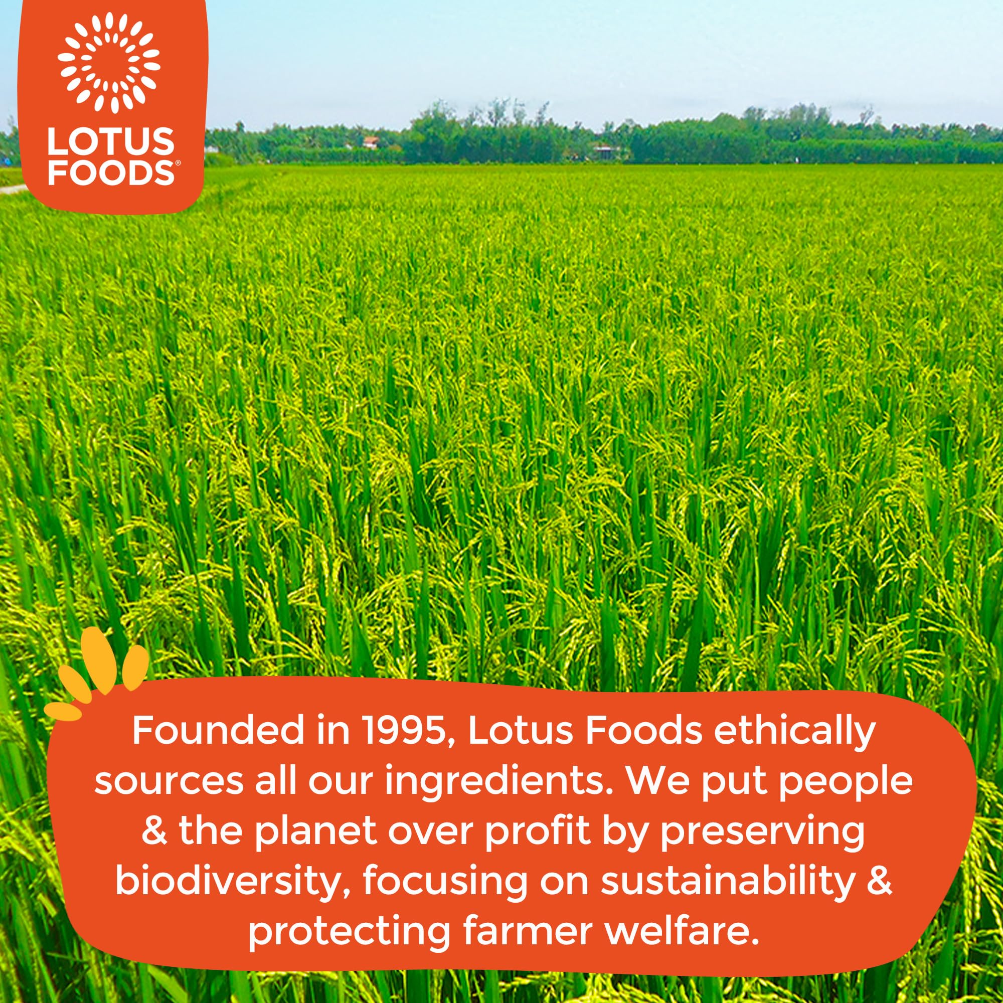 Lotus Foods ethically-sourced-ingredients image showcasing sustainable farming and biodiversity