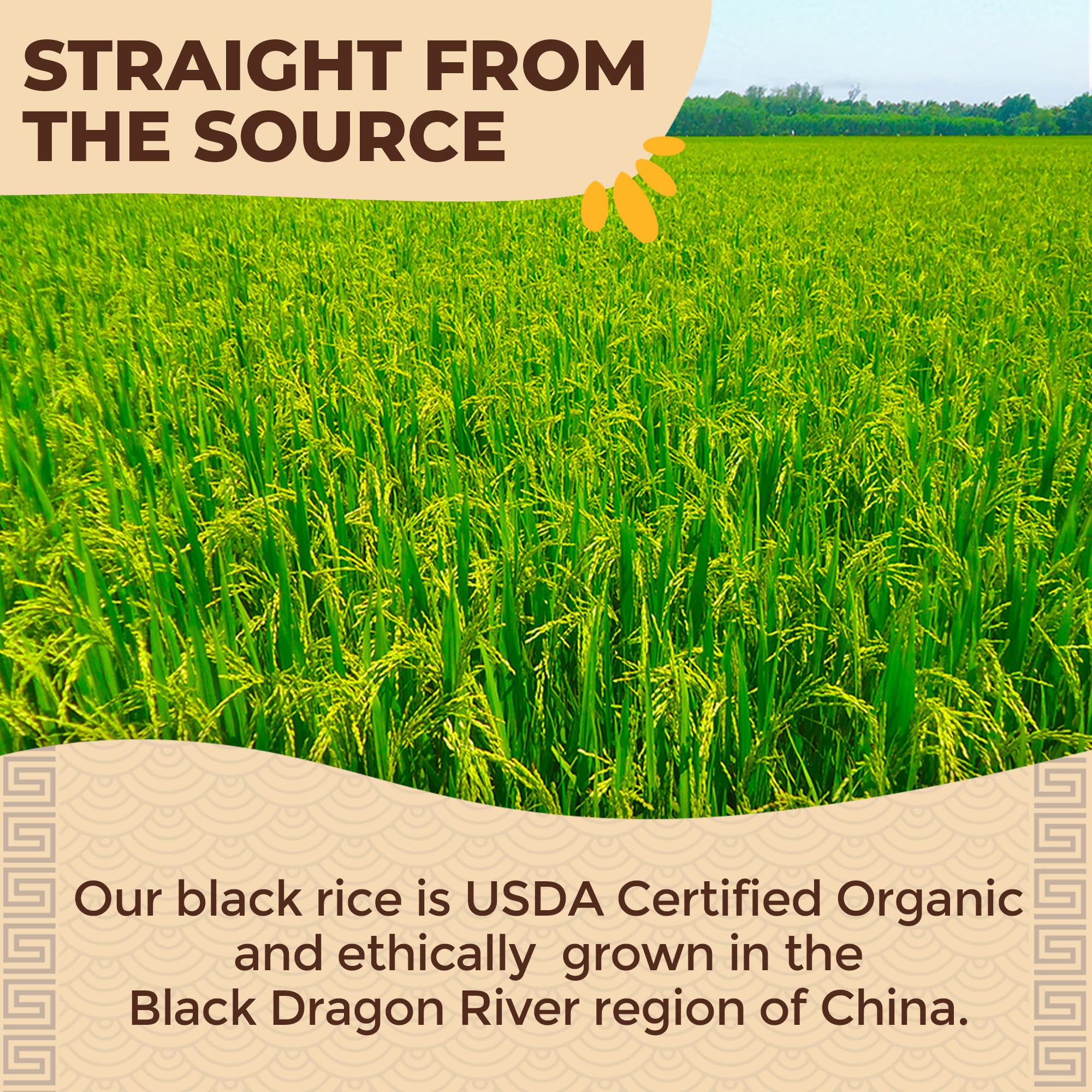Lotus Foods Forbidden Rice ingredients emphasize sustainable farming and nutrition