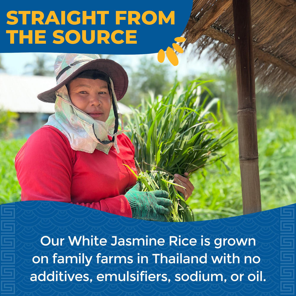 Cooked Jasmine rice ideal for fried rice or stir-fry dishes with Lotus Foods.