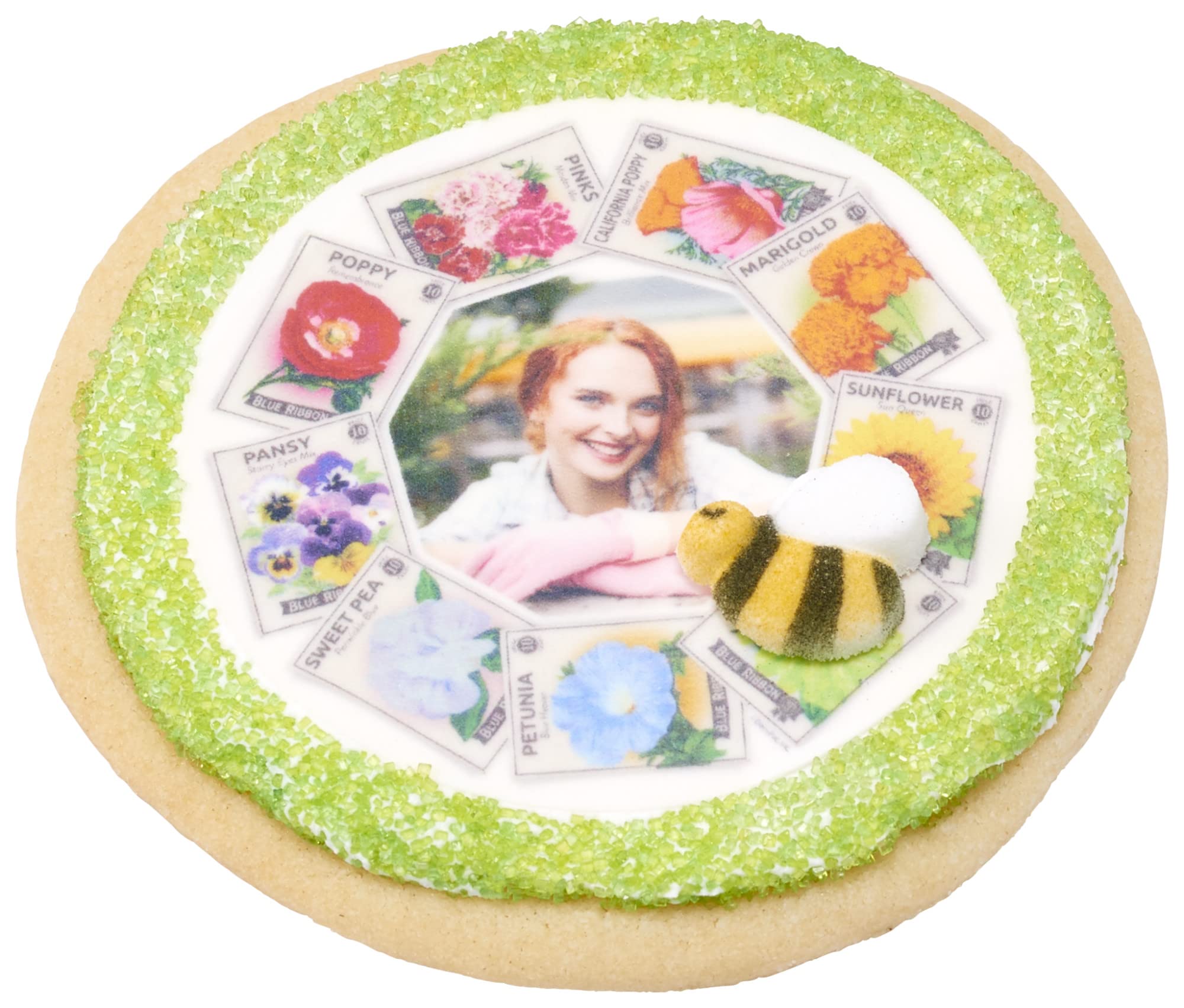 Lucks Dec-Ons hand-painted bumble bee sugar detail for desserts.