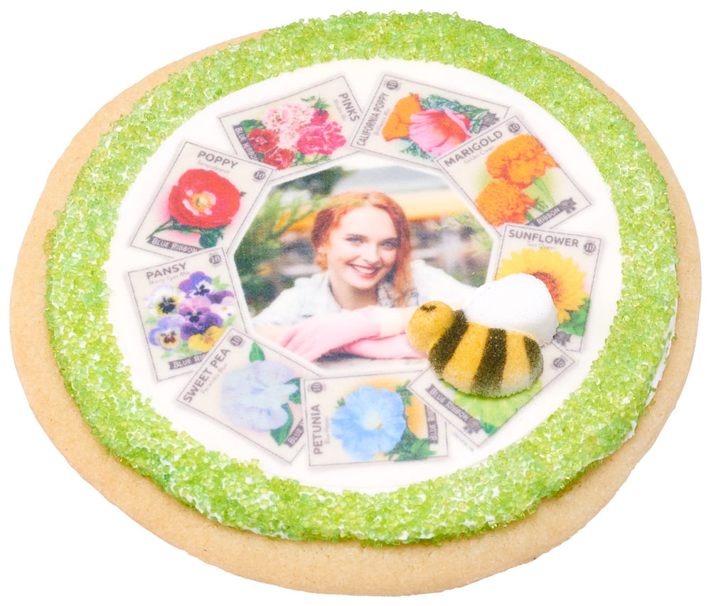Lucks Dec-Ons hand-painted bumble bee sugar detail for desserts.