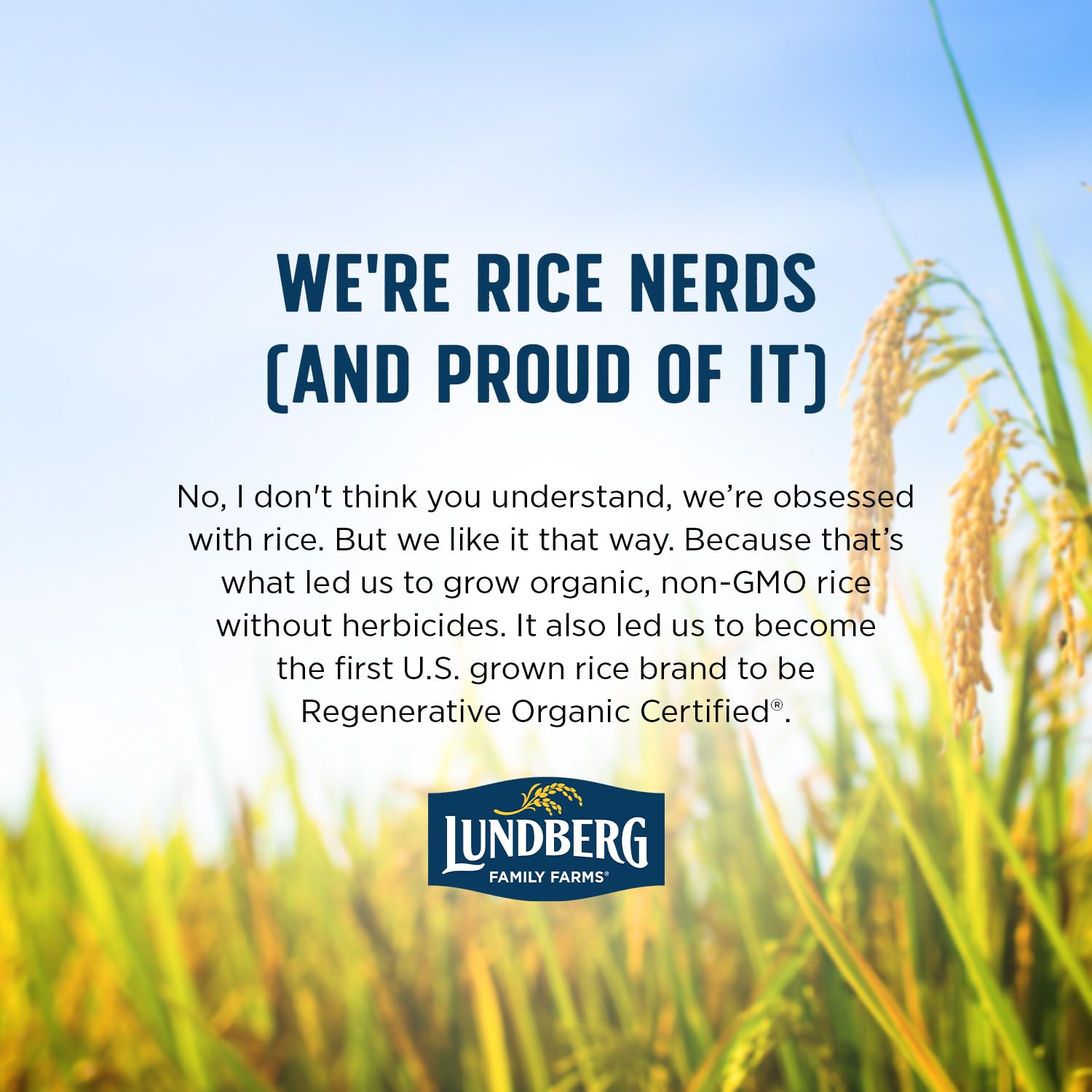 Lundberg prepared rice served with vegetables for a healthy meal idea.