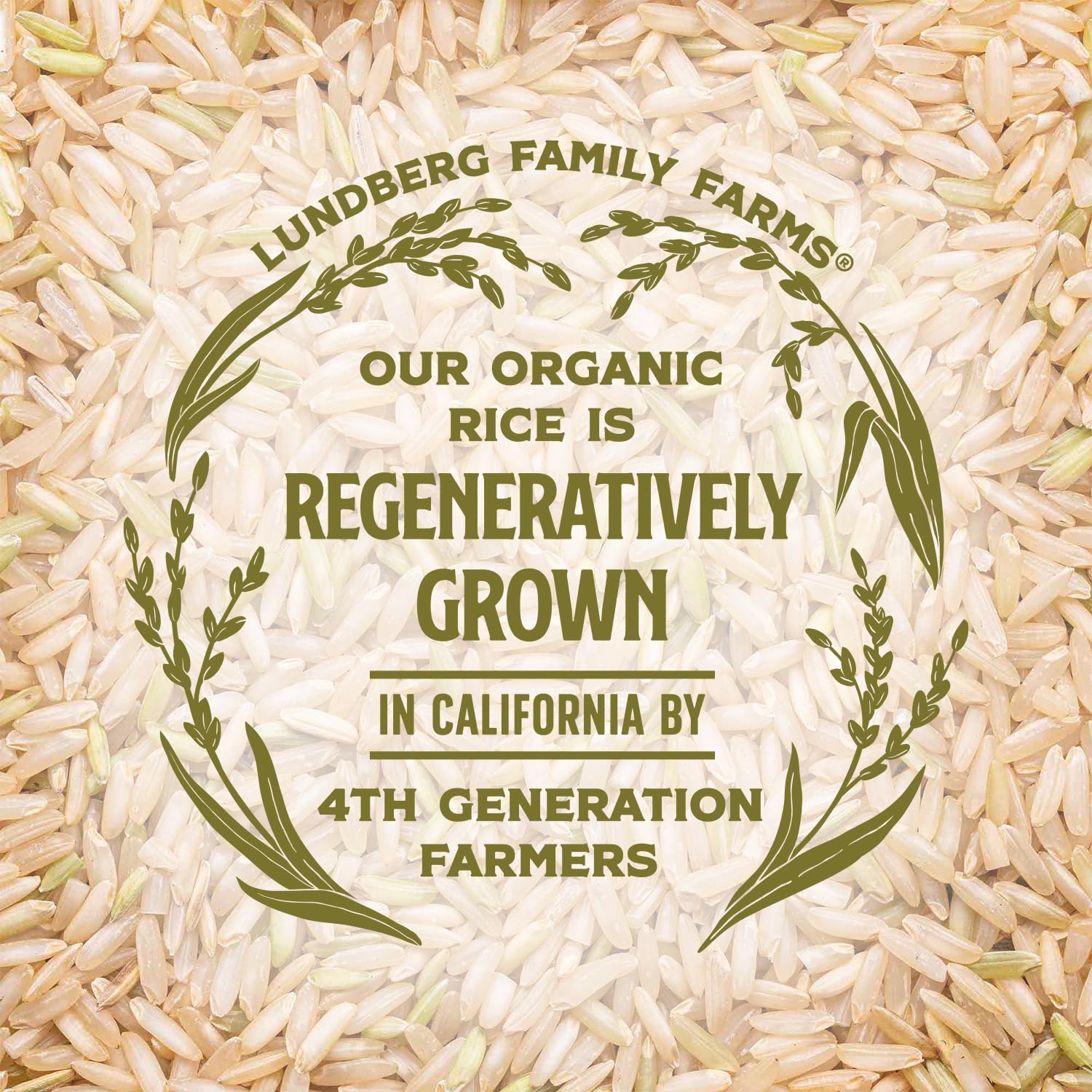 Lundberg Organic, Non-GMO, Gluten-Free certifications on the label.