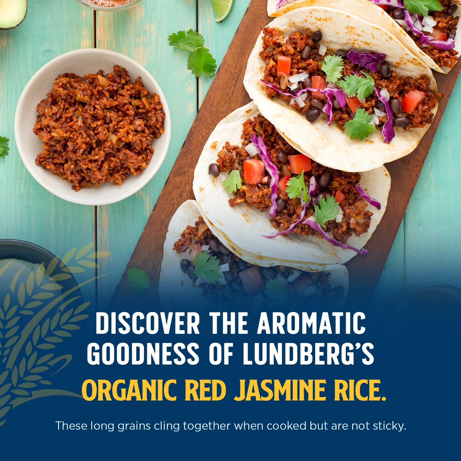Lundberg Organic Red Jasmine Rice grains closeup with separate grains