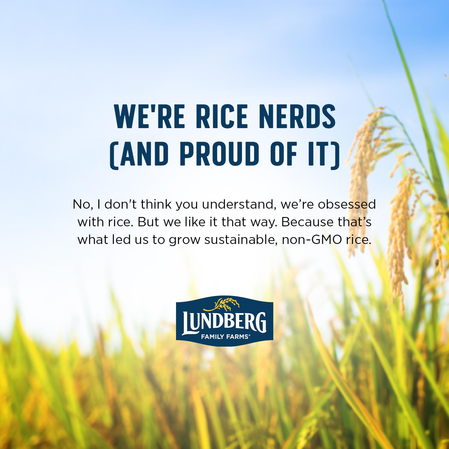 Lundberg Basmati Rice farm image highlighting California-grown farming