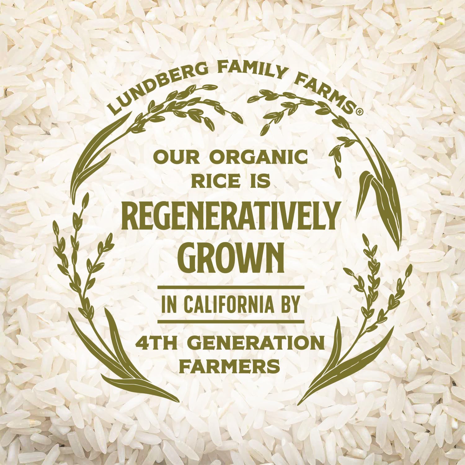 Lundberg Rice shows non-GMO and gluten-free certification badge