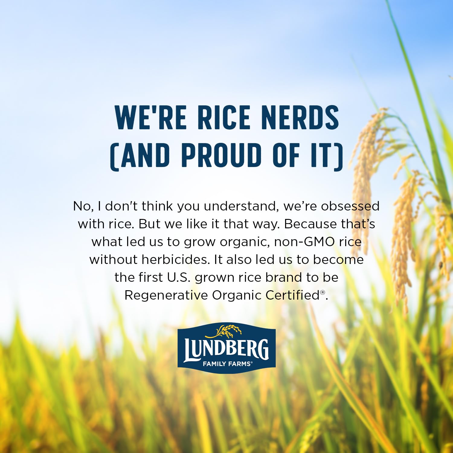 Duck-friendly farming on Lundberg's regenerative organic operations reflects wildlife-conscious practices.