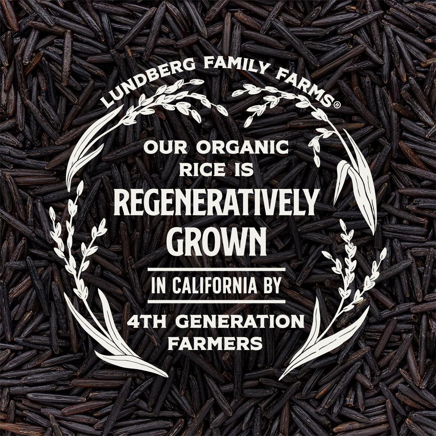 Lundberg Family Farms heritage image underlines farm stewardship since 1937.