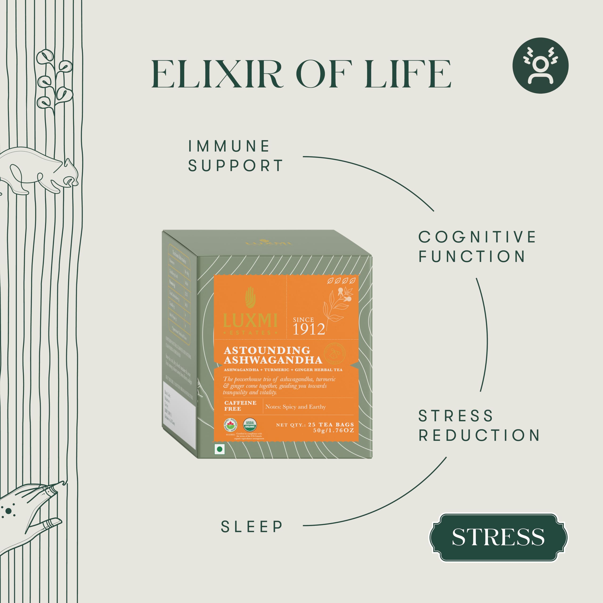 Luxmi Estates Ashwagandha Turmeric teabags closeup showing herbal blend and rich color.