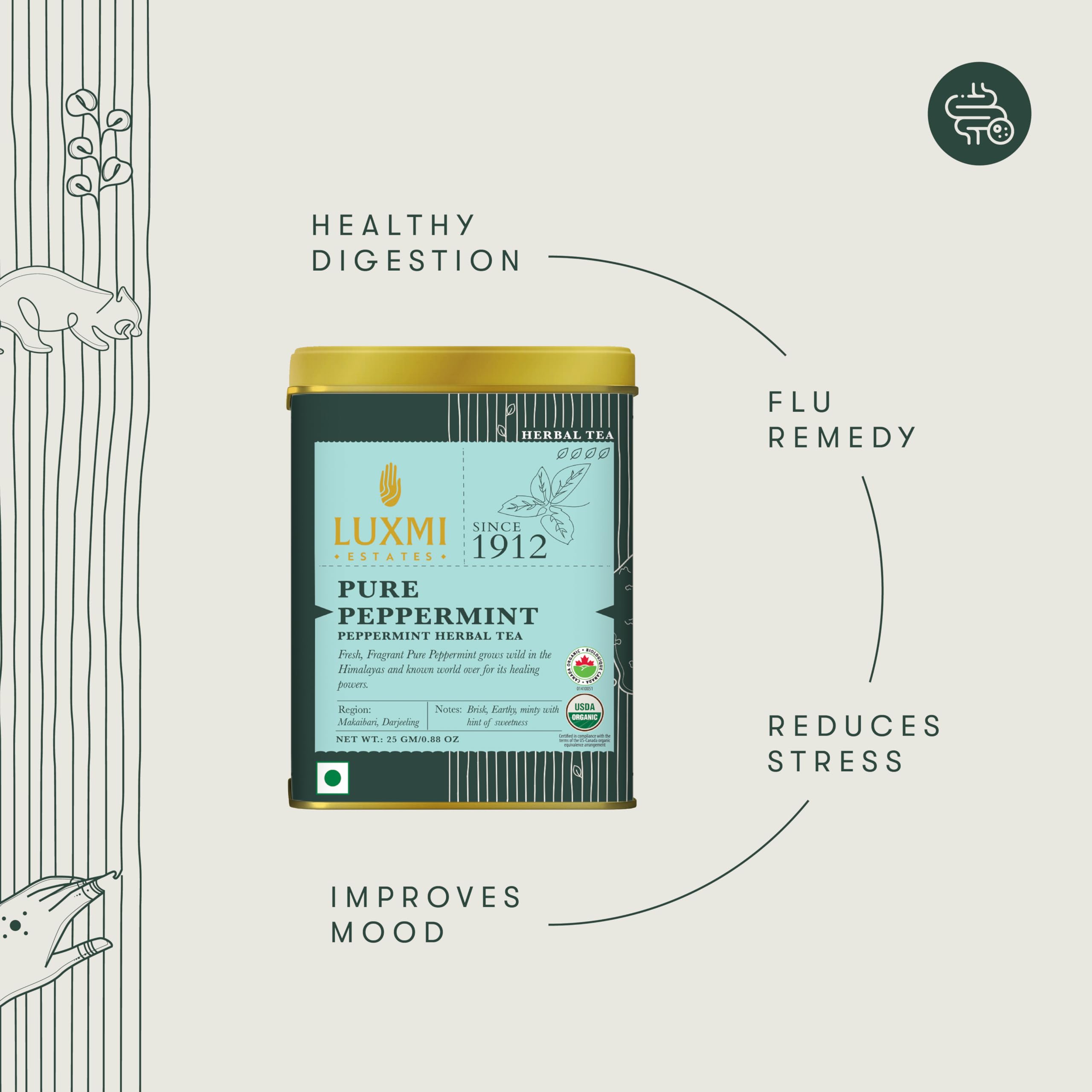 Luxmi Estates Purely Peppermint tea steeping, results in a crisp, rejuvenating cup.