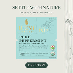 Luxmi Estates Purely Peppermint tea tin packaging, convenient 25g for evening cup.