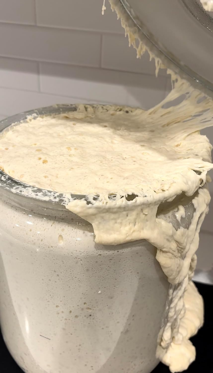 MADE WITH LOAVE dehydrated starter recipe card, beginner-friendly instructions for your first loaf