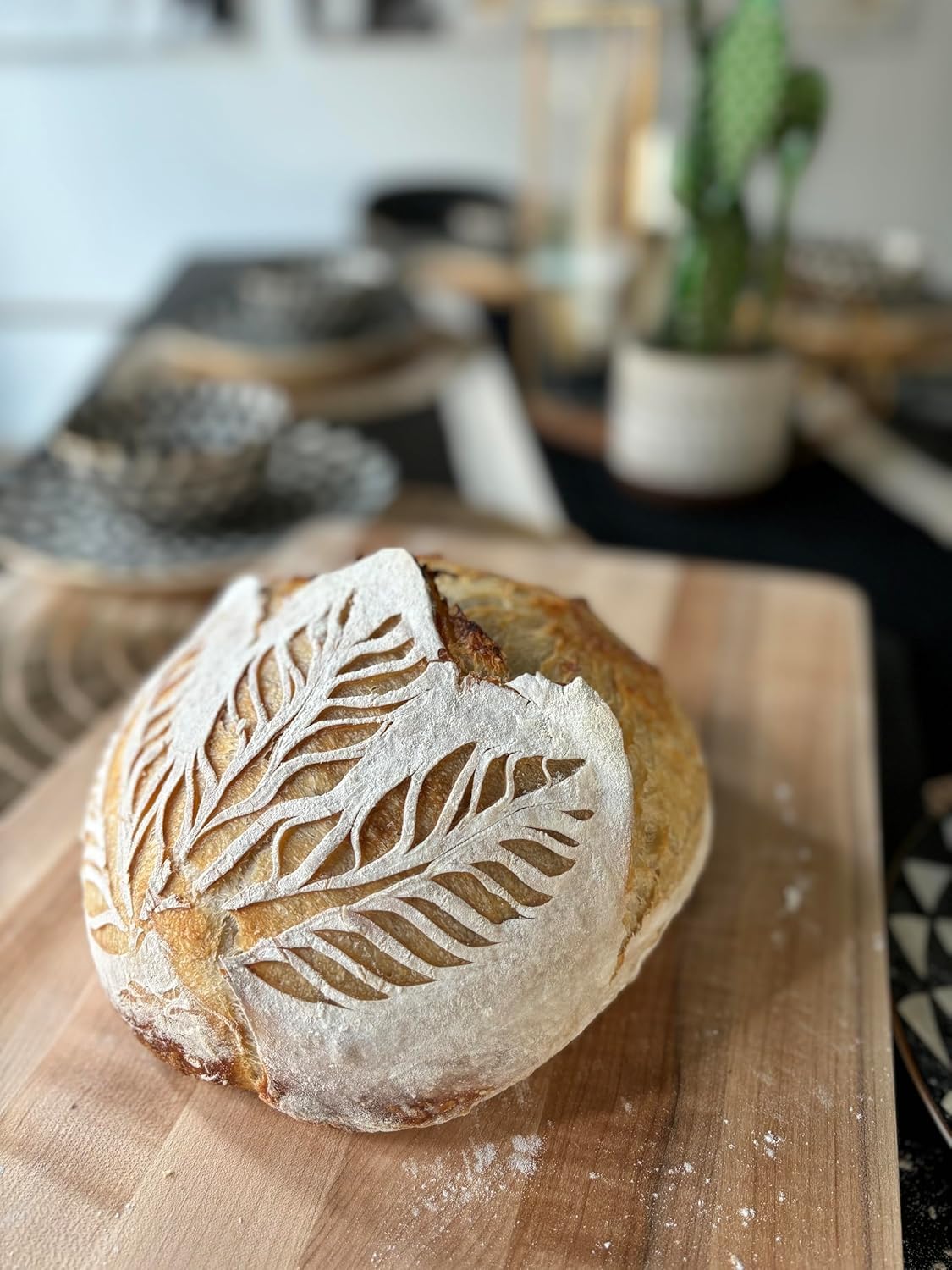 MADE WITH LOAVE dehydrated starter TikTok feature, authentic sourdough journey you can try