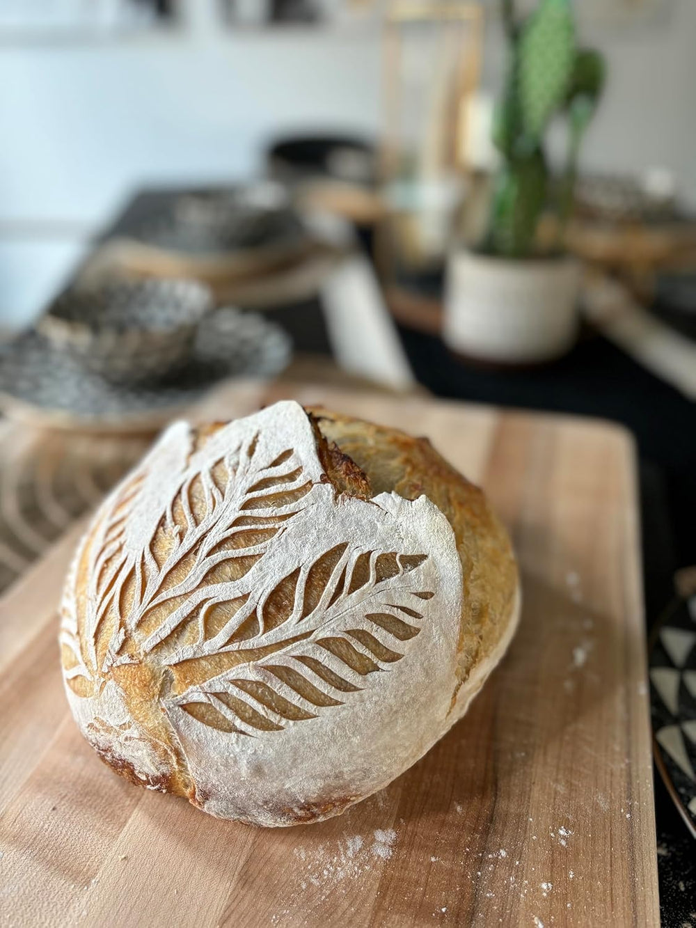 MADE WITH LOAVE dehydrated starter TikTok feature, authentic sourdough journey you can try