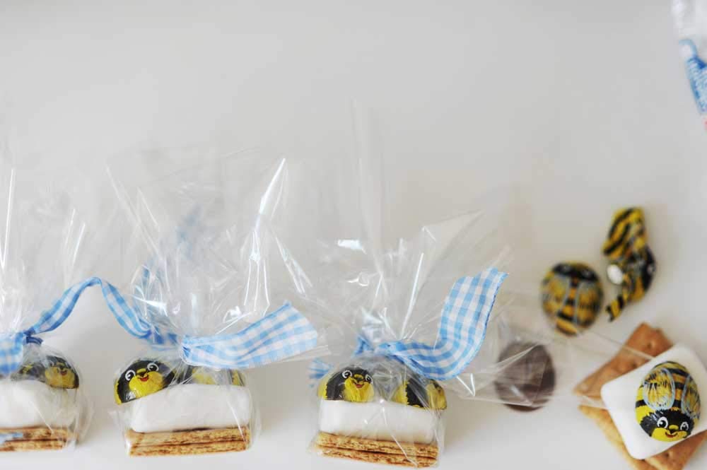 The Madelaine Chocolate Company versatile party favor for Easter and Mother's Day.