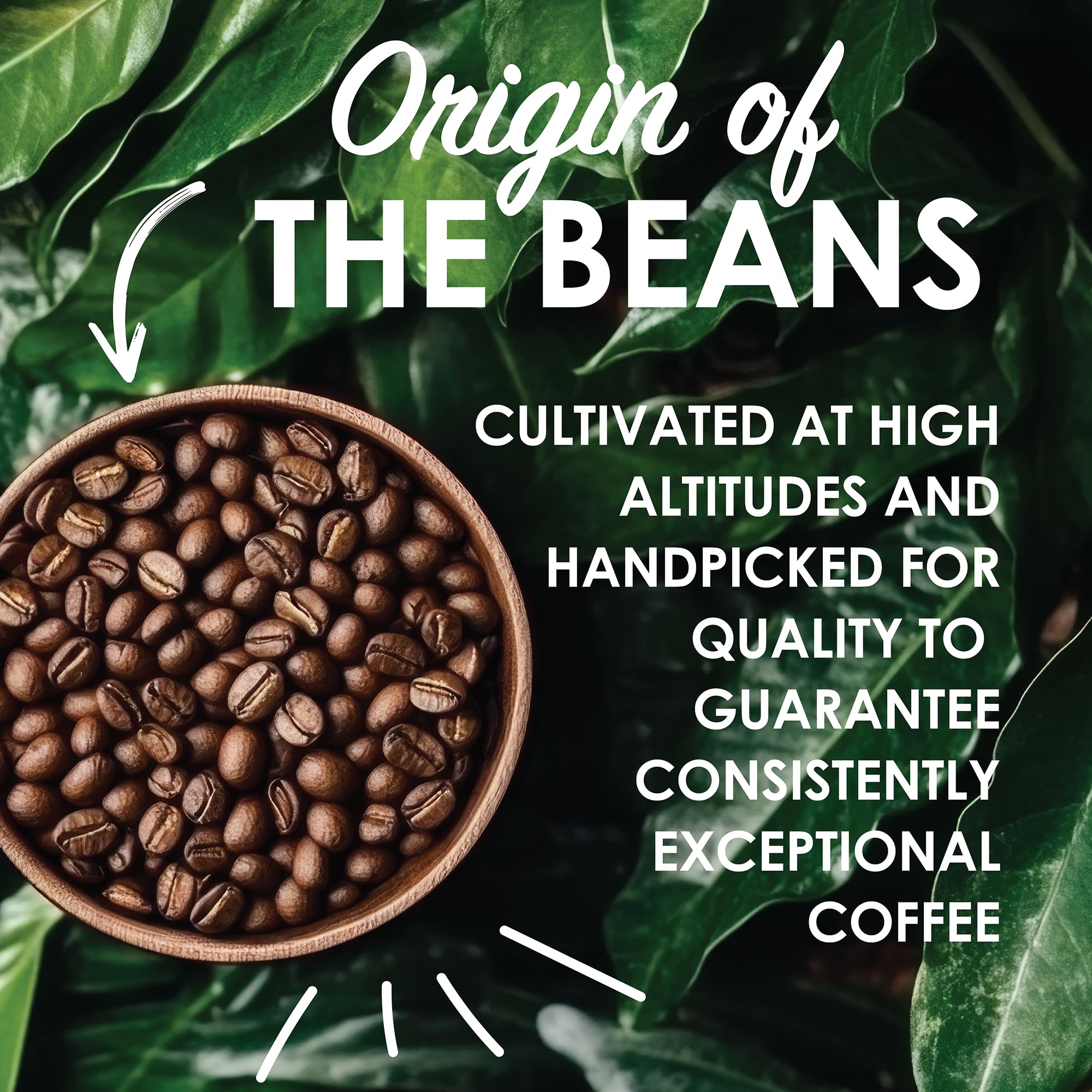 Nitrogen-packed bag of Magnum Exotics Blue Mountain Blend maintains peak flavor