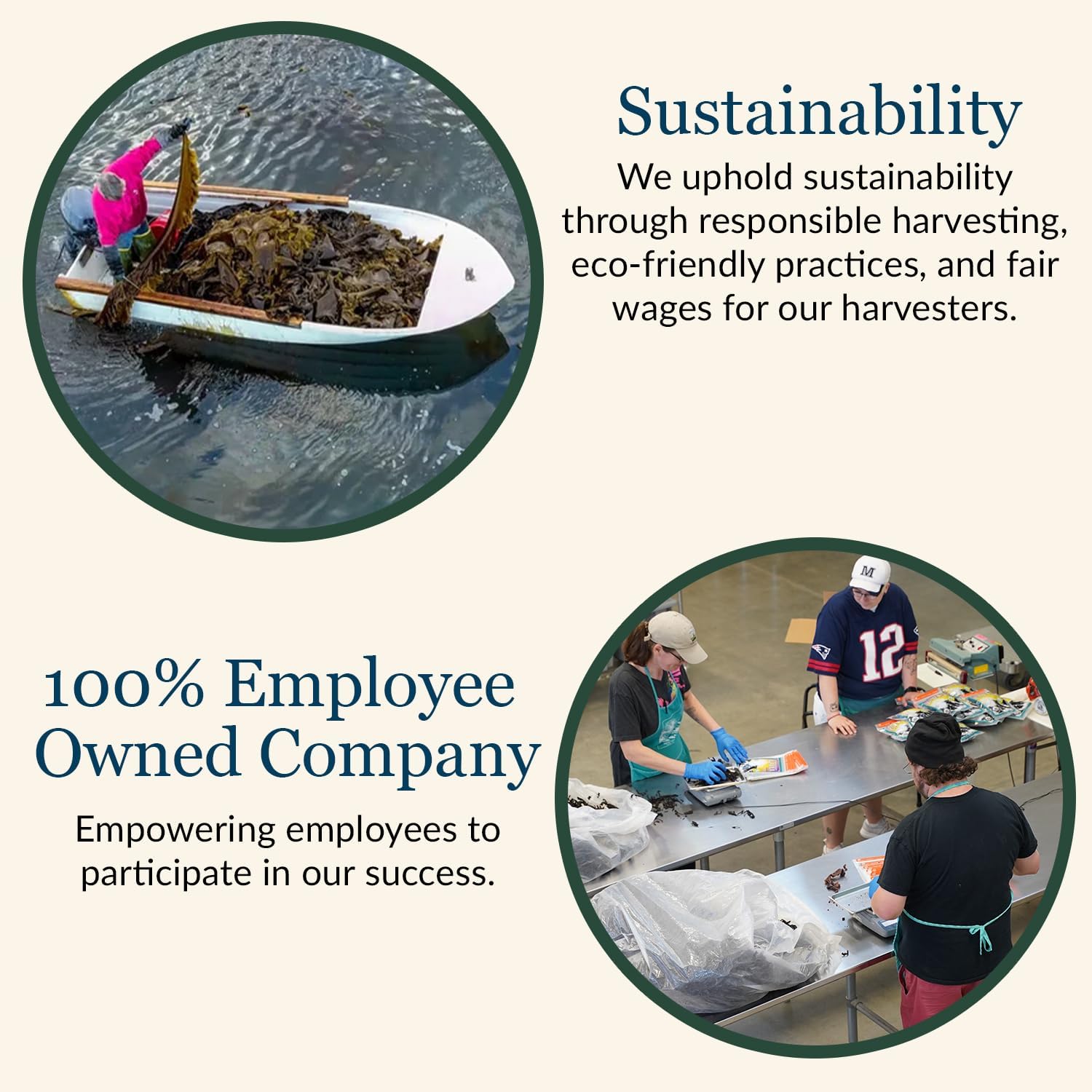 Maine Coast Sea Vegetables kelp granules on ramen bowl for savory boost