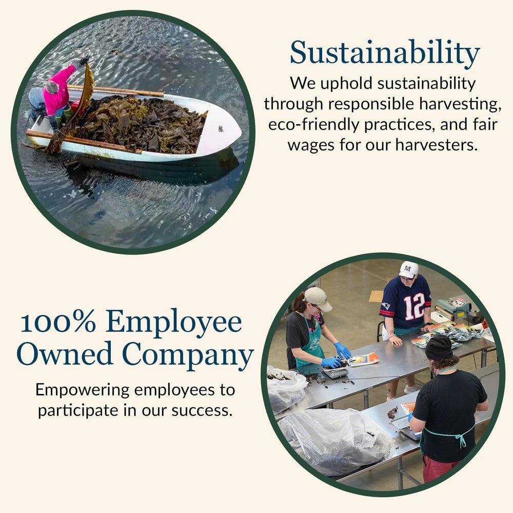 Maine Coast Sea Vegetables kelp granules on ramen bowl for savory boost