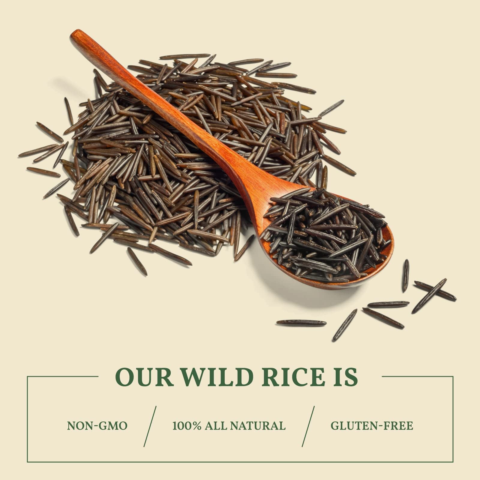 MAITREYA Minnesota-origin wild rice field imagery.
